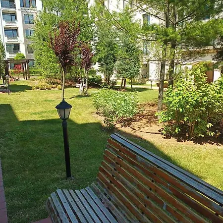 Orange в местност каваци, * סוזופול